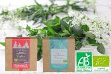 Thés et Infusions bio (certifiés AB) - Baronny's